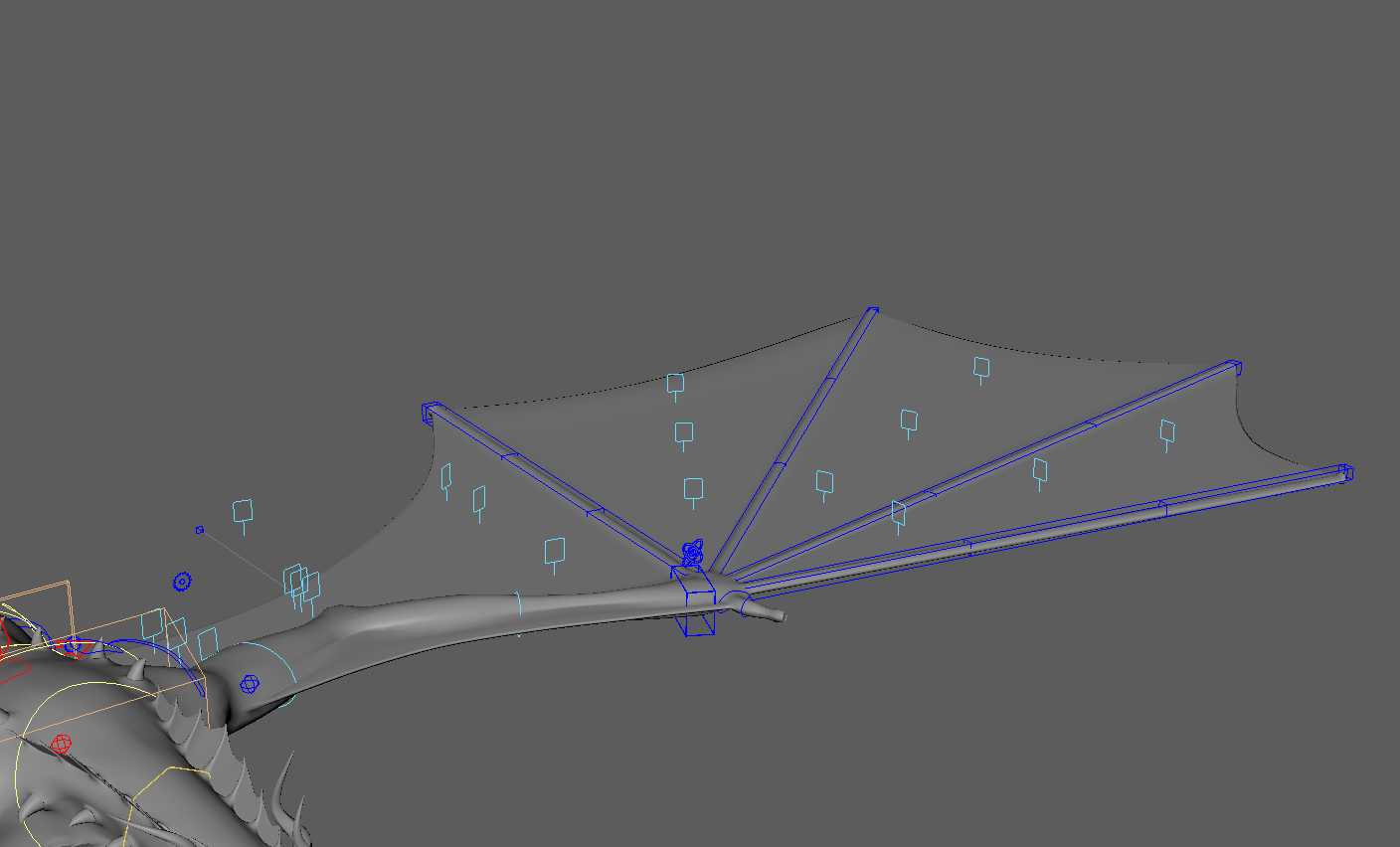Dragon Wings Rig